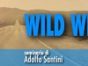 wild-west-banner